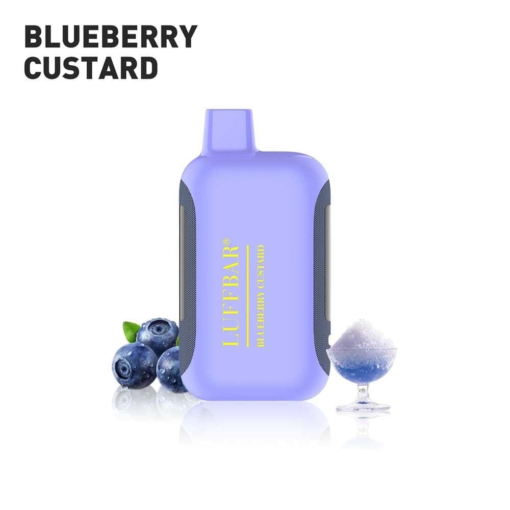 LUFFBAR Dually 20000 Disposable Vape (5%, 20000 Puffs) - Blueberry Custard